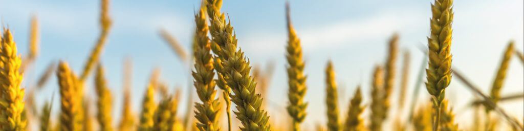 enlarged prostate treatments