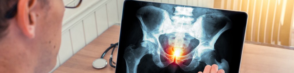 prostate gland function