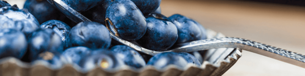 blueberry cheesecake