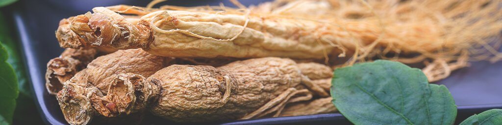 ginseng benefits