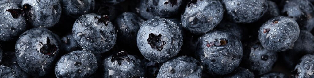 blueberries-diabetes