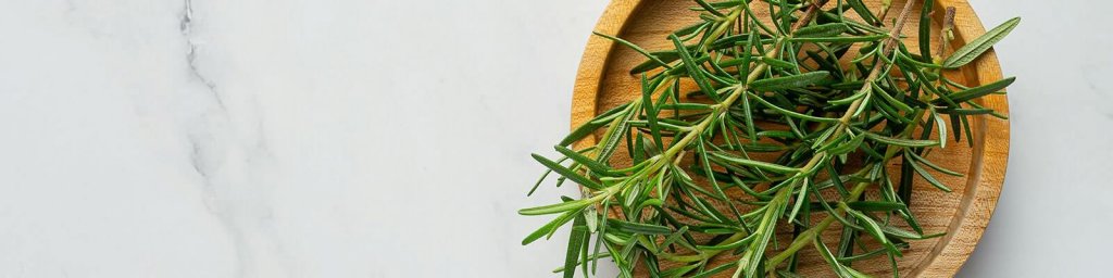 rosemary benefits