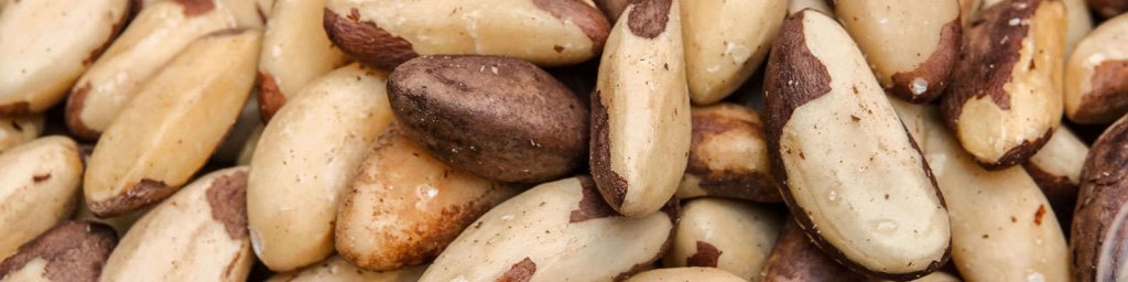 brazil nuts benefits
