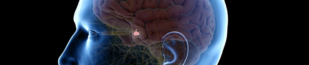pituitary gland dysfunction