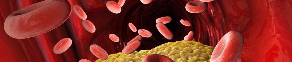 how to reverse endothelial dysfunction