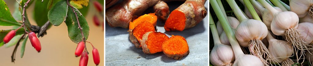 benefits of supplements