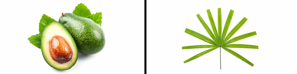 beta-sitosterol vs saw palmetto