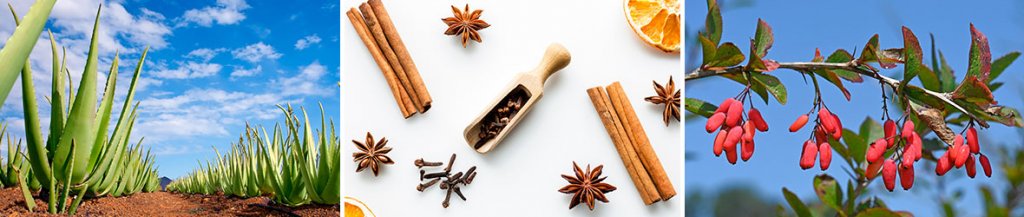 trulicity alternatives