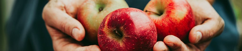 is apple good for diabetes